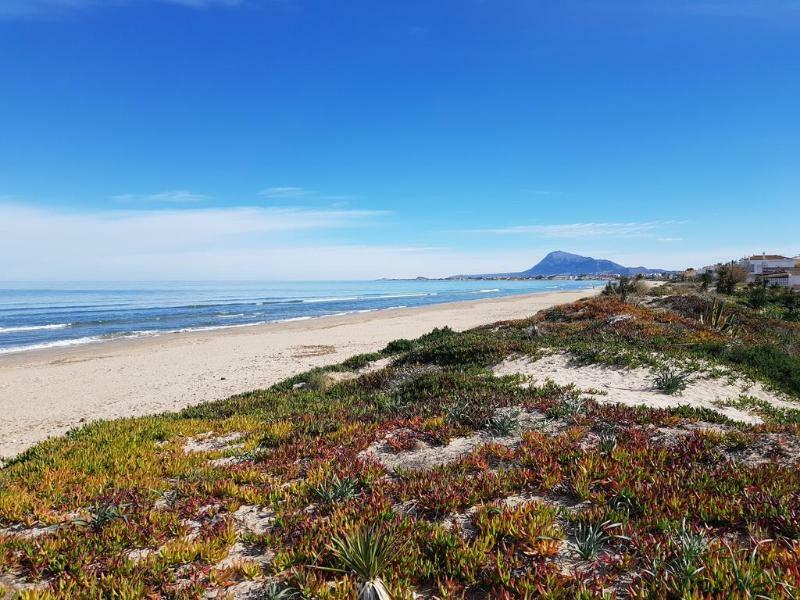 德尼亚拉塞拉万豪高尔夫度假村及水疗中心 外观 照片 Marina Dunes